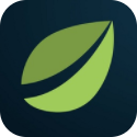 bitfinex