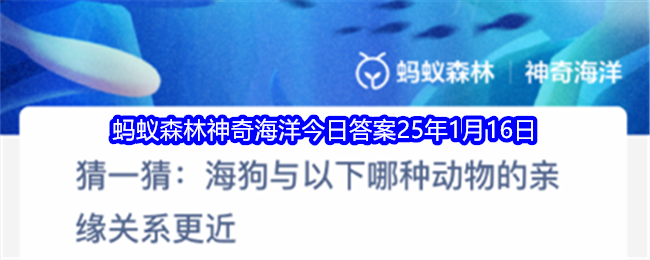 猜一猜海狗与以下哪种动物的亲缘关系更近