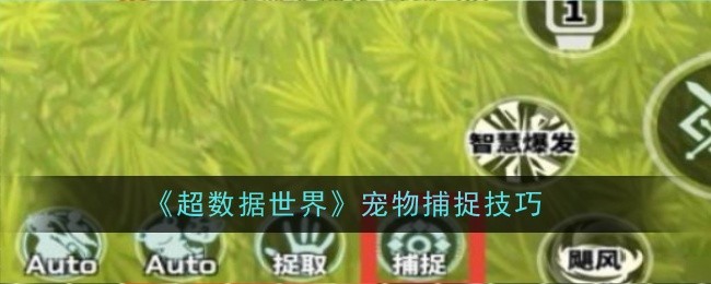 《超数据世界》宠物捕捉技巧