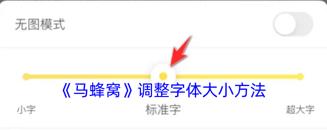 《马蜂窝》调整字体大小方法