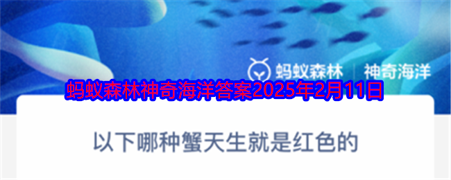 以下哪种蟹天生就是红色的