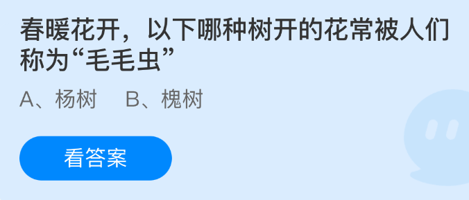 以下哪种树开的花常被人们称为“毛毛虫“
