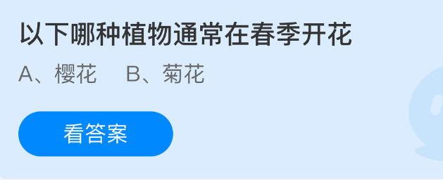 以下哪种植物通常在春季开花