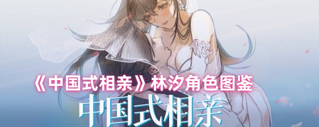 《中国式相亲》林汐角色图鉴