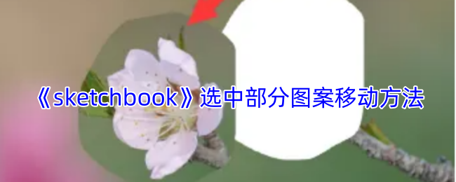 《sketchbook》选中部分图案移动方法