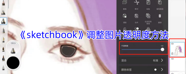 《sketchbook》调整图片透明度方法