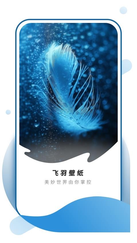 飞羽壁纸官方版