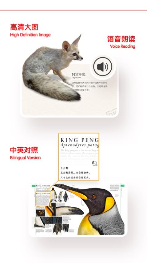 千奇DK百科免费版