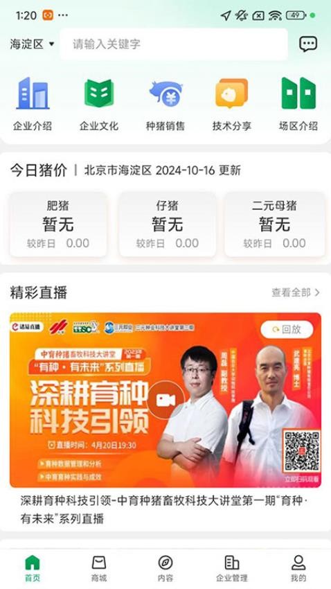 中育种猪免费版