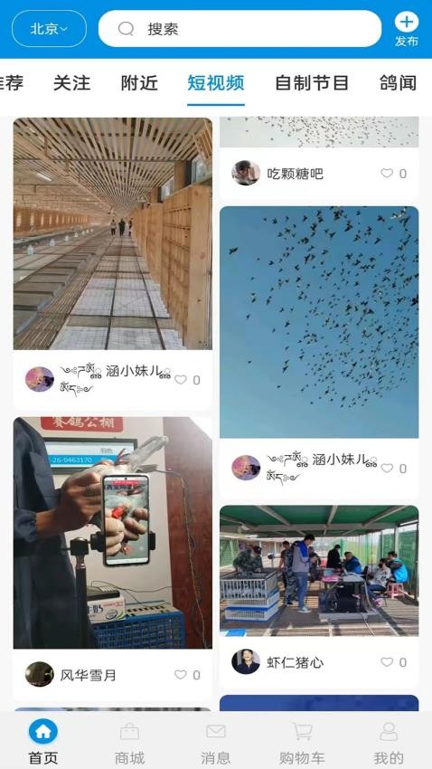 鸽网通最新版