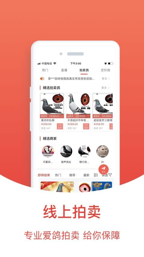 搜鸽天下官网版