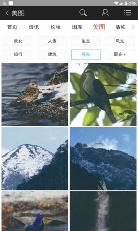 蜂鸟图库官方版