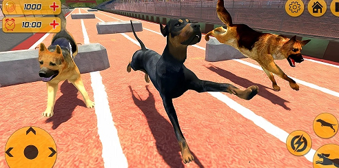 Dog Racing Game Pet Animal run Simulator官方版