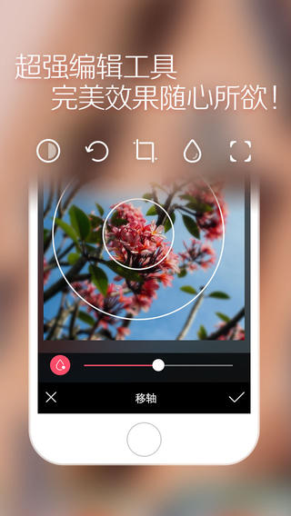 柚子
