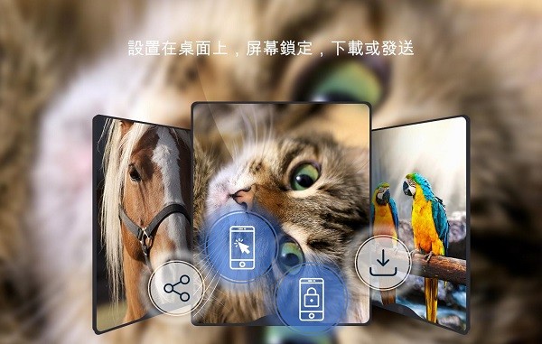 美丽的壁纸4k phone版