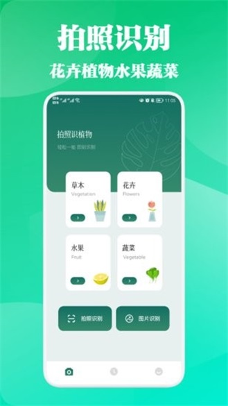 三叶草 官网
