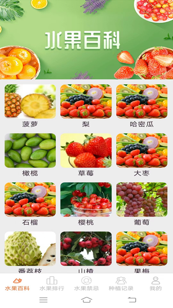 果果多点 安卓版v1.8.8.5