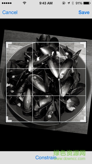 Lenka苹果手机版