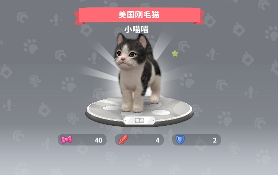 梦幻小猫安卓版