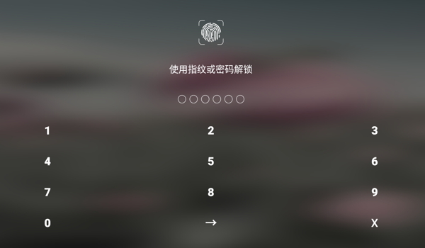 平正记软件最新版