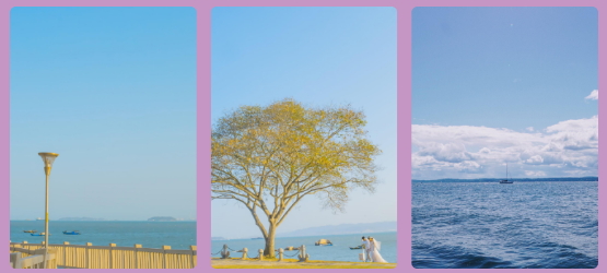 唯美桌面壁纸app最新版