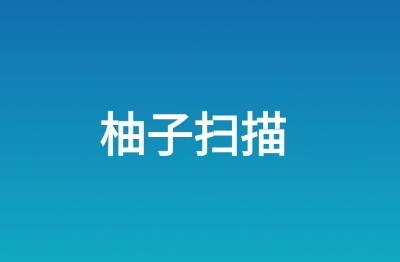 柚子扫描安卓版