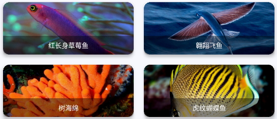 广场动物园壁纸app