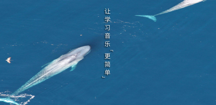 抒意音乐课app手机版