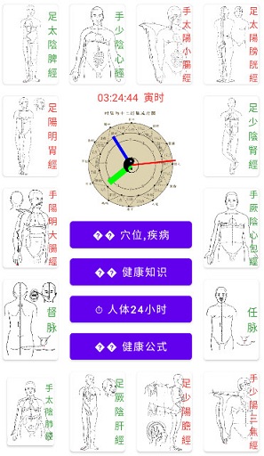 中医经络穴位流注