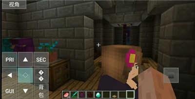 我的世界珍妮模组无遮挡版