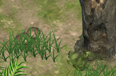 赶山夺笋游戏最新版